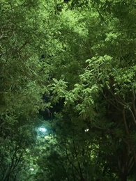 [Dubbing] Sayang, Aku Akan Segera Menikah - Episode 35