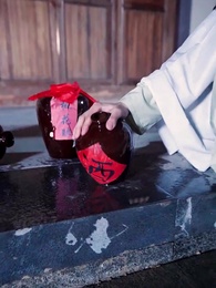 第48集 - 重生之大武帝婿