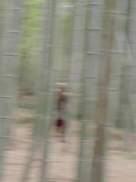 恰逢暮雪亦白頭 - Episode 28