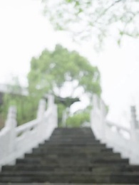 第27集 - 恰逢暮雪亦白頭