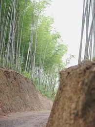 恰逢暮雪亦白頭 - Episode 18