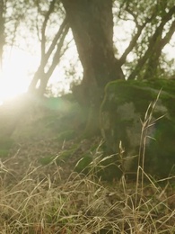 Bölüm 45 - İstenmeyen Eş