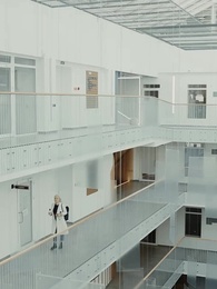 Episodio 14 - Siete noches con mi ex