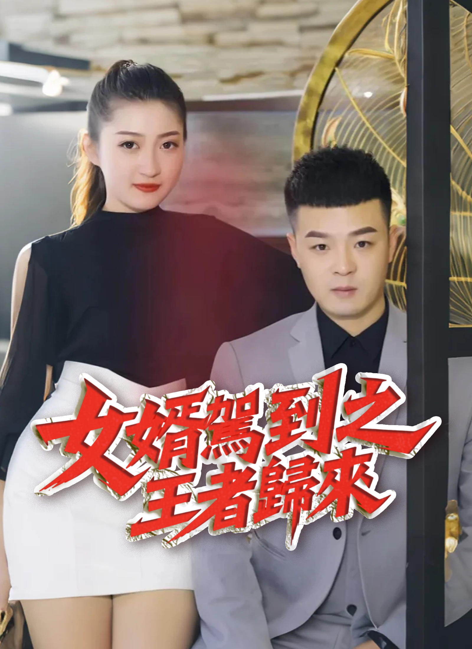 《女婿駕到之王者歸來》封面