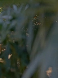 Atticus Fawn'un İstenmeyen Gelini - Episode 2