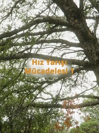 Bölüm 18 - İstenmeyen Eş