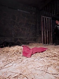 重生之大武帝婿 - Episode 60