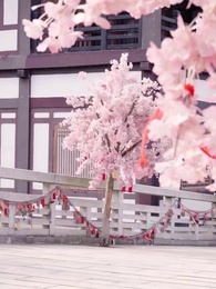 重生之大武帝婿 - Episode 29