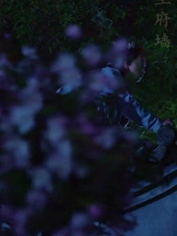 我在古代當無賴 - Episode 81