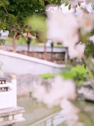 第40集 - 陛下有喜