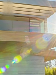 第24話 - 冬に咲く太陽の花