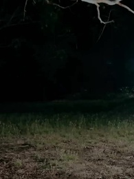 Bölüm 27 - Benim Kişisel Kurtadam Kralım