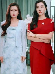 第62集 - 離婚後，她帶六寶驚艷全球