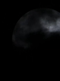 Bölüm 6 - Benim Kişisel Kurtadam Kralım