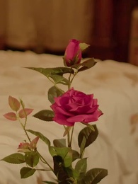 Episódio 77 - Nádia: Rei Alfa 3 - Parceiro Recusado pelo Tempo