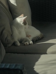 Bölüm 67 - İstenmeyen Eş