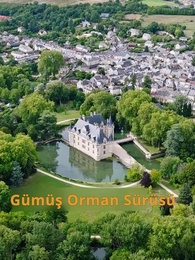 Reddedilen Luna Bir Oğulla Geri Dönüyor - Episode 25