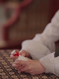 第21集 - 恰逢暮雪亦白頭