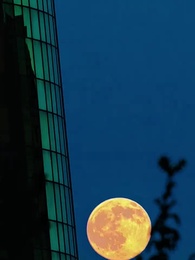 Nádia: Rei Alfa 3 - Parceiro Recusado pelo Tempo - Episode 53