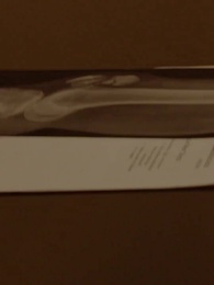 Episódio 38 - Nádia: Rei Alfa 3 - Parceiro Recusado pelo Tempo