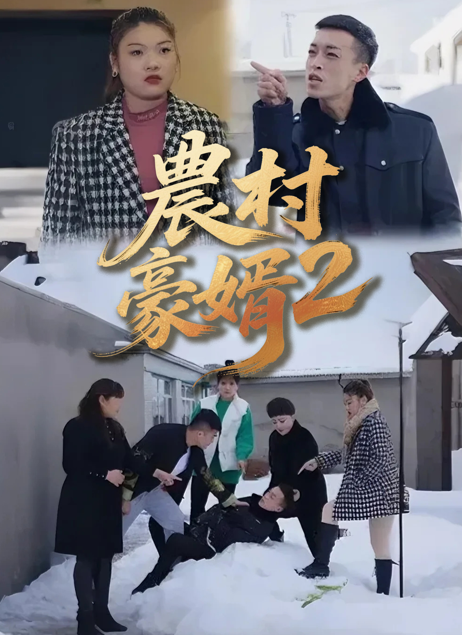 《農村豪婿第2部》封面
