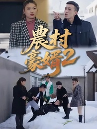 農村豪婿第2部