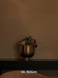 İstenmeyen Milyarder Vâris - Episode 66