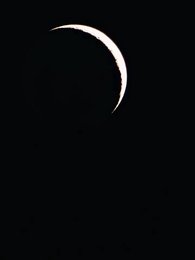 Nádia: Rei Alfa 3 - Parceiro Recusado pelo Tempo - Episode 51