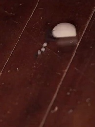 Bölüm 6 - Hasret Dolu Rüyalar