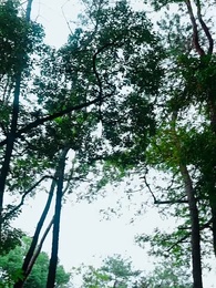 無敵劍神 - Episode 71