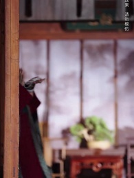 自古功名屬少年 - Episode 5