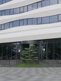 Episode 54 - Senorita spielt mit dem Feuer