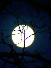 第38集 - 跨世小神醫