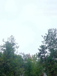 第13集 - 無敵劍神