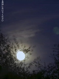 第28話 - 宗師:鎮龍の伝説