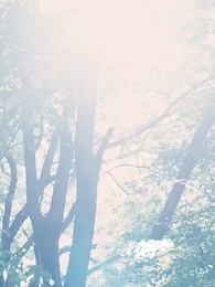 Les désirs secrets de mon mari - Episode 62