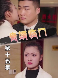 第15集 - 貴婿臨門
