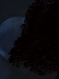 Les désirs secrets de mon mari - Episode 64