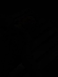 第48集 - 功夫醫聖