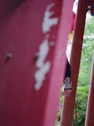 第10集 - 朱顏正家聲