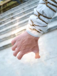 第11集 - 萬界獨尊