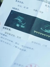 第29集 - 朱顏正家聲