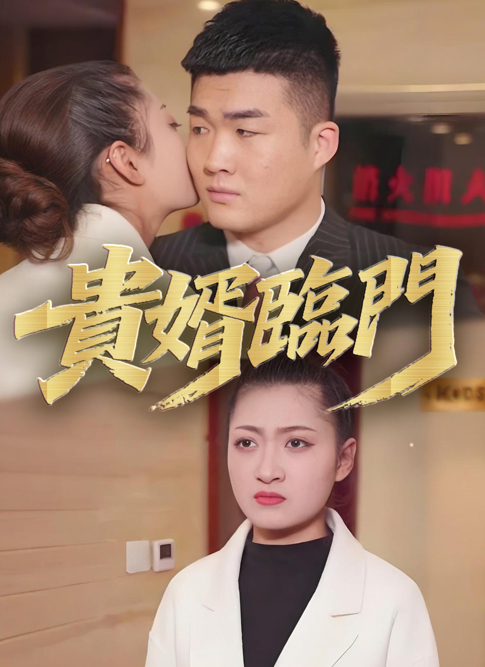 《貴婿臨門》封面