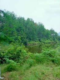 第14集 - 無敵劍神