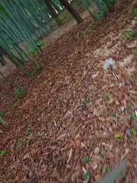 第63集 - 無敵劍神