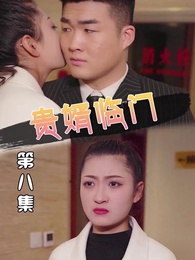第8集 - 貴婿臨門