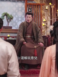 第34集 - 醫妃卿卿