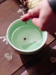 第67集 - 醫妃卿卿