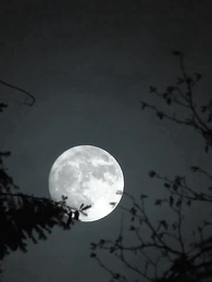 L'Héritière est une Domestique! - Episode 34