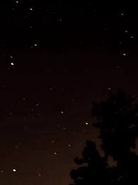 Bölüm 49 - Yasak Hayaller: Alfa'nın Aşkı